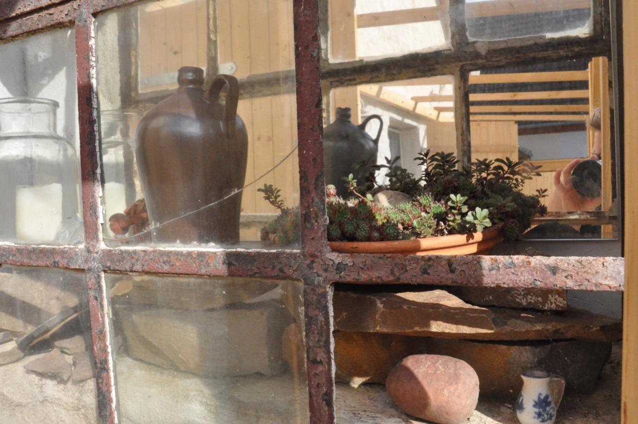 Pension "Seeblick" Am Stelzenhaus Dornburg  외부 사진