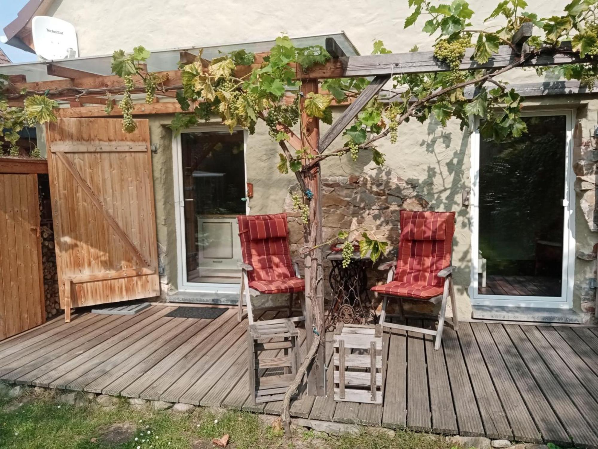 Pension "Seeblick" Am Stelzenhaus Dornburg  외부 사진